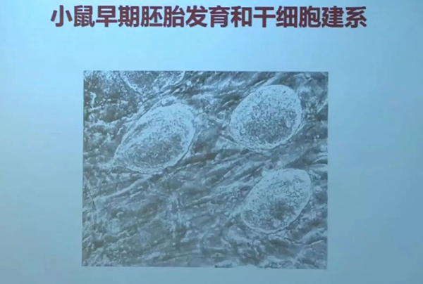 中国富豪乌克兰60万一针续命,周琪院士正面回