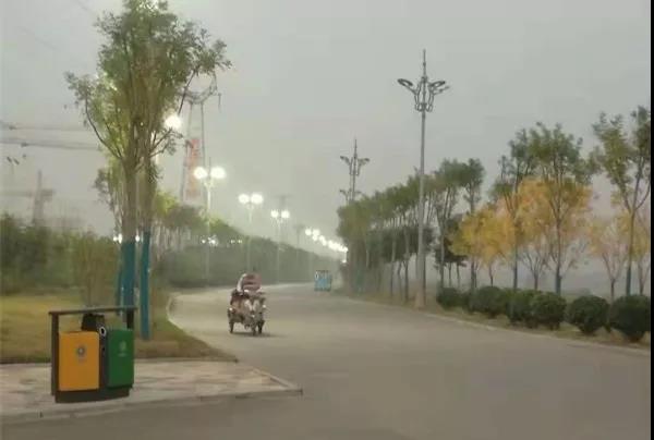 到2015年,金乡县的城市景观大幅改善
