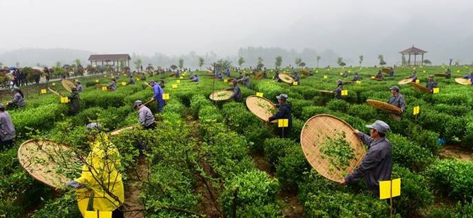 安徽2018全省农业工作会议提到的十大工程讲