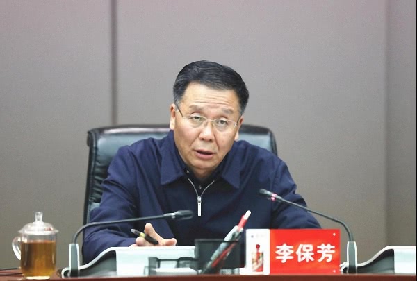 李保芳讲话