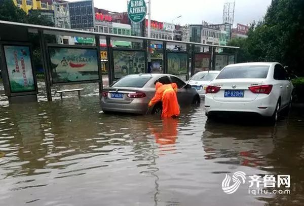 来源：齐鲁网