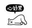 必发365登录免费试玩-安理会今日讨论朝鲜此问题?朝方怒批英法德美