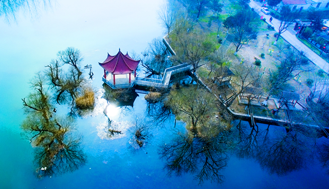 周六10点看直播,美女主播在汤山金乌公园体验