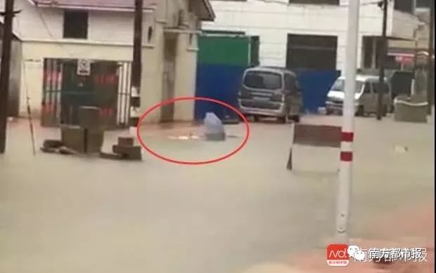 广东暴雨疑发多起触电事故:致两死多伤,均为马