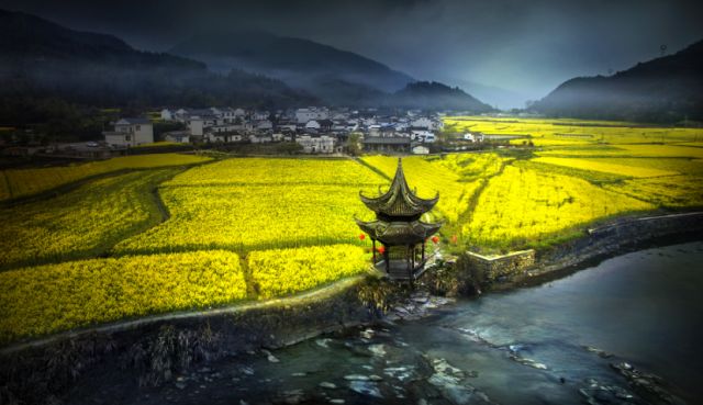 正是安徽赏花季,送你一份拍摄锦囊投身油菜花海