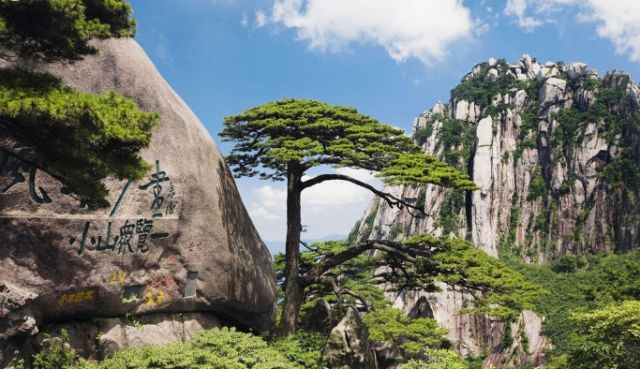 我省这14个地方获得一项全国荣誉!有你们那儿吗?,我的姐姐裘安