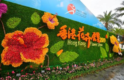 香港花卉展覽上的立體花牆。圖片來源:香港特區政府新聞公報