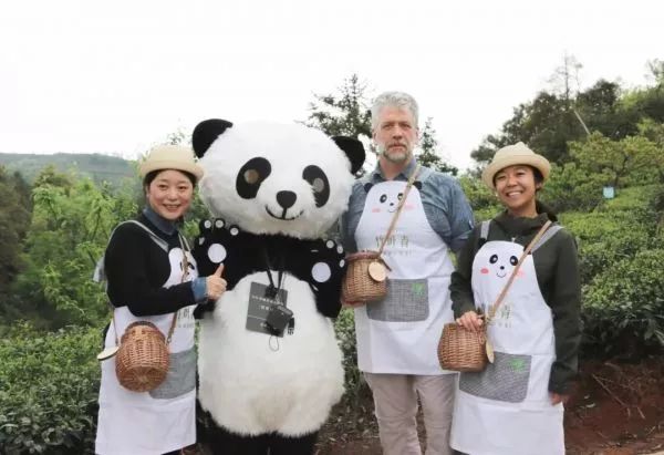 ▲“2019竹叶青峨眉高山绿茶寻茶之旅”活动现场照片。(图片来自网络)