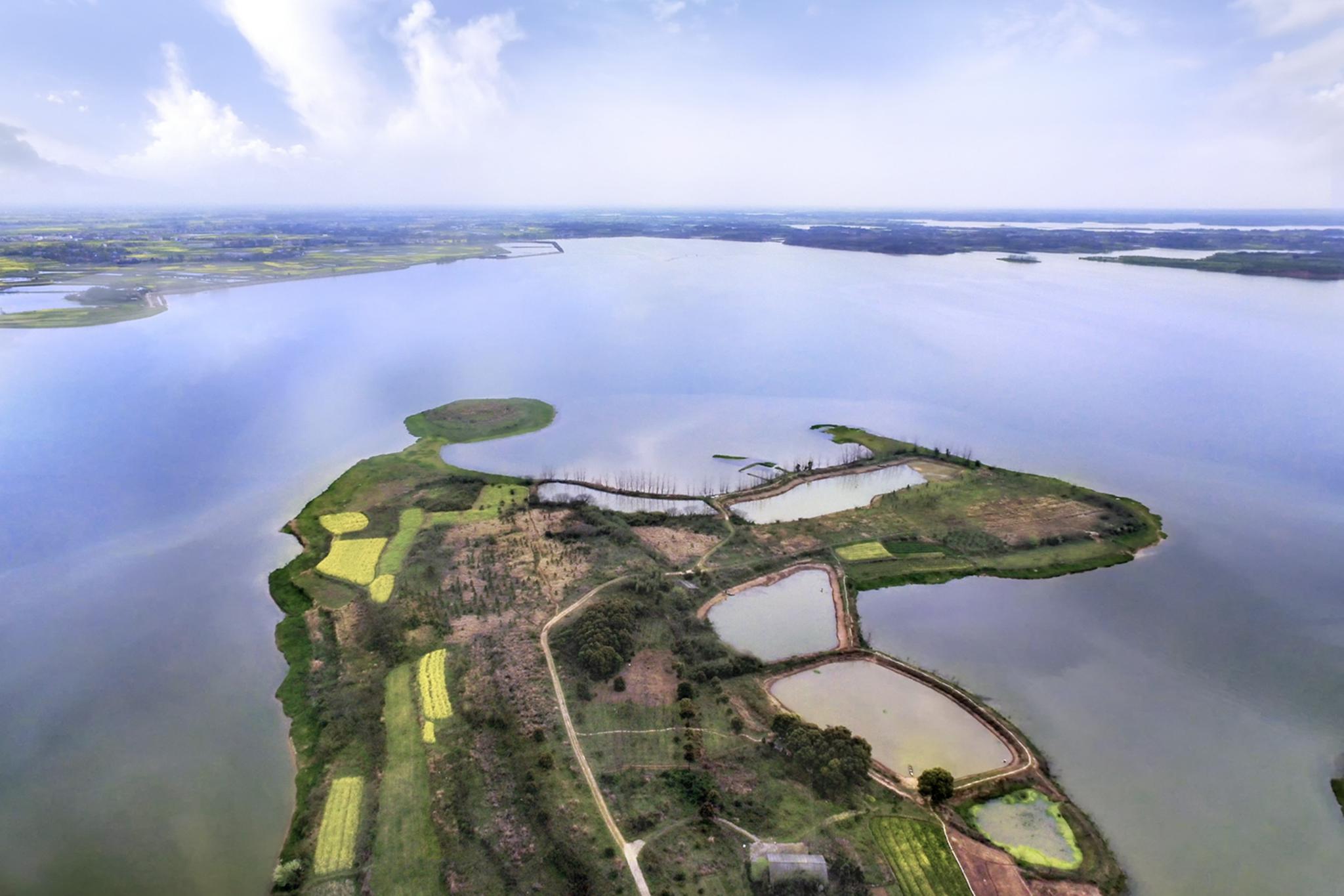 【美丽中国长江行】跟大熊猫一样珍稀的鸟儿来了 湖南毛里湖正获新生