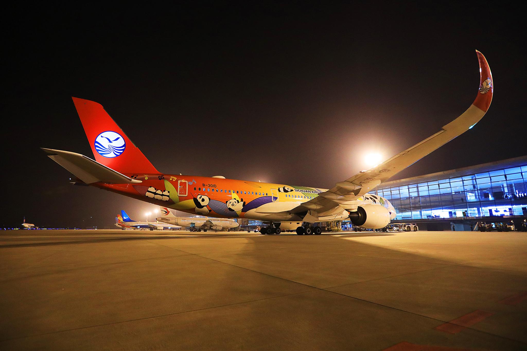 "熊猫"空客350首抵南京禄口国际机场,宽体客机都可在南京机场起降