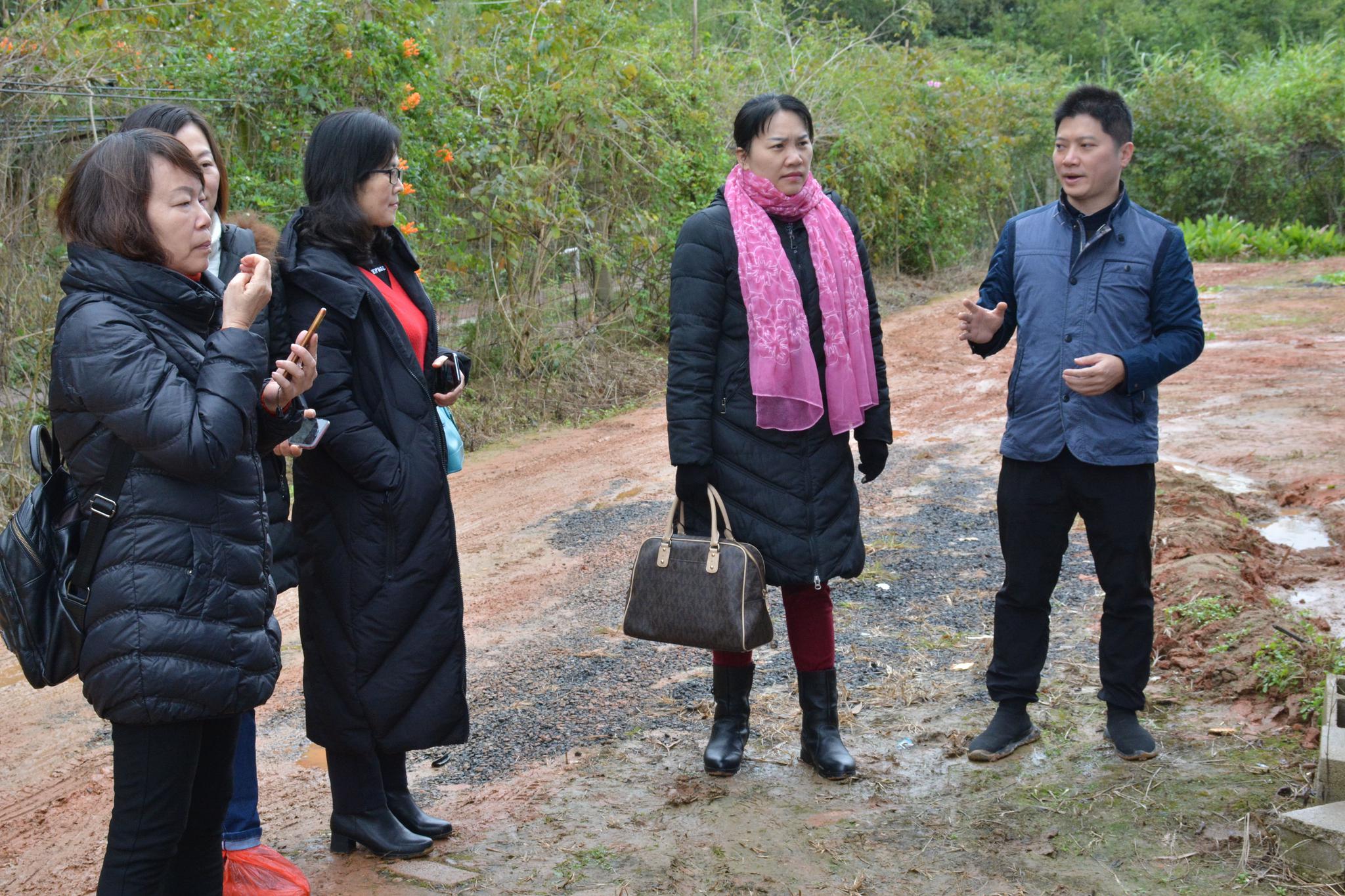 龙印山鸡买起!第一书记吆喝村中好货