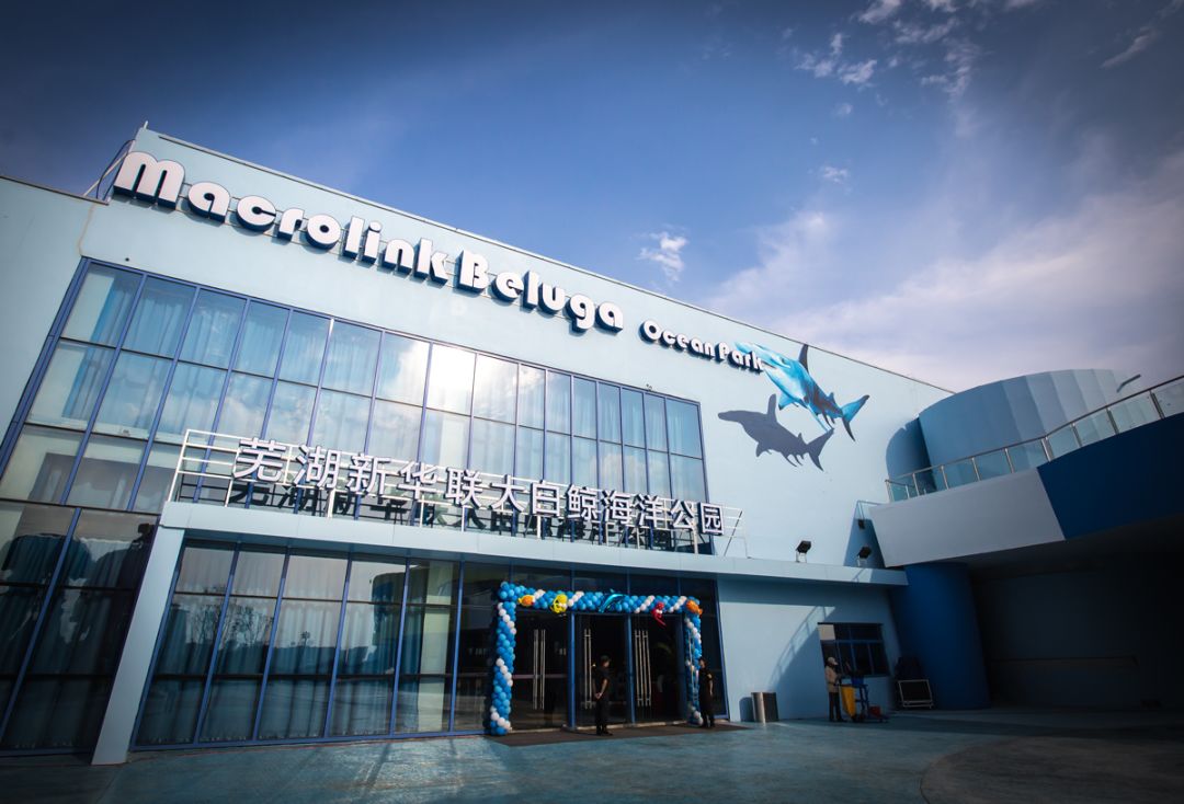 跨年还能这样玩?千人轰趴潮翻天,领取你的另一半~超多门票年卡等超值大礼就在芜湖大白鲸海洋公园