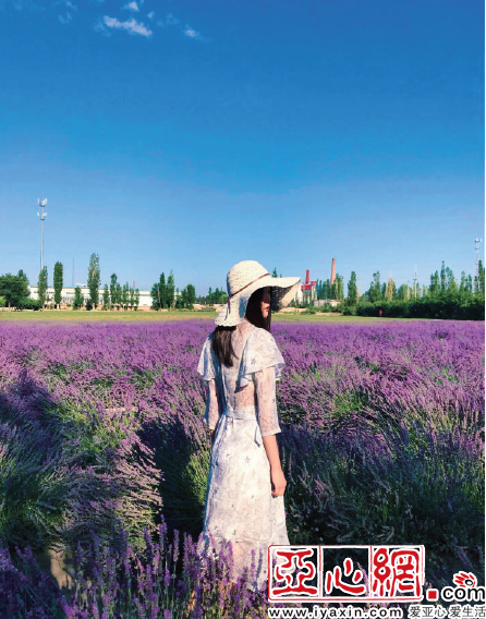 四川姑娘自制20天新疆旅游攻略走红网络