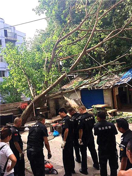 打通镇人口_打通镇卫生院(2)