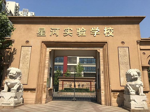 星河实验学校是天鹅湾等三个住宅小区的配套学校。（图片来源：上观新闻）