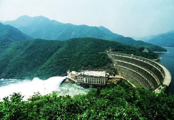 我省这14个地方获得一项全国荣誉!有你们那儿吗?,我的姐姐裘安