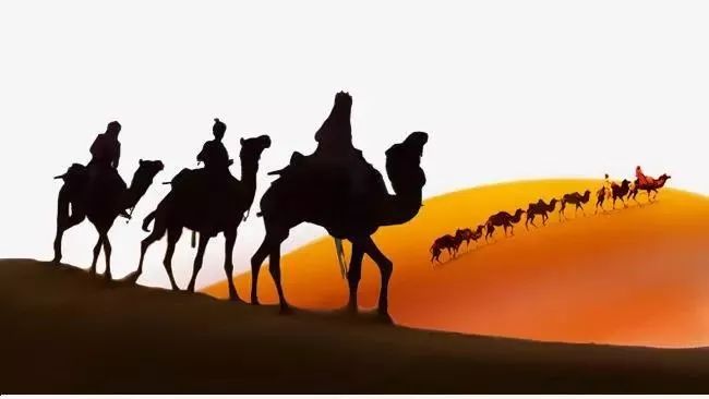沙漠骆驼 在哈尔滨被当街宰杀!不远处的城管