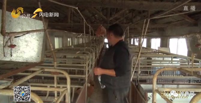 养猪场称减肥药排行榜配合拆除难再建 畜牧局: