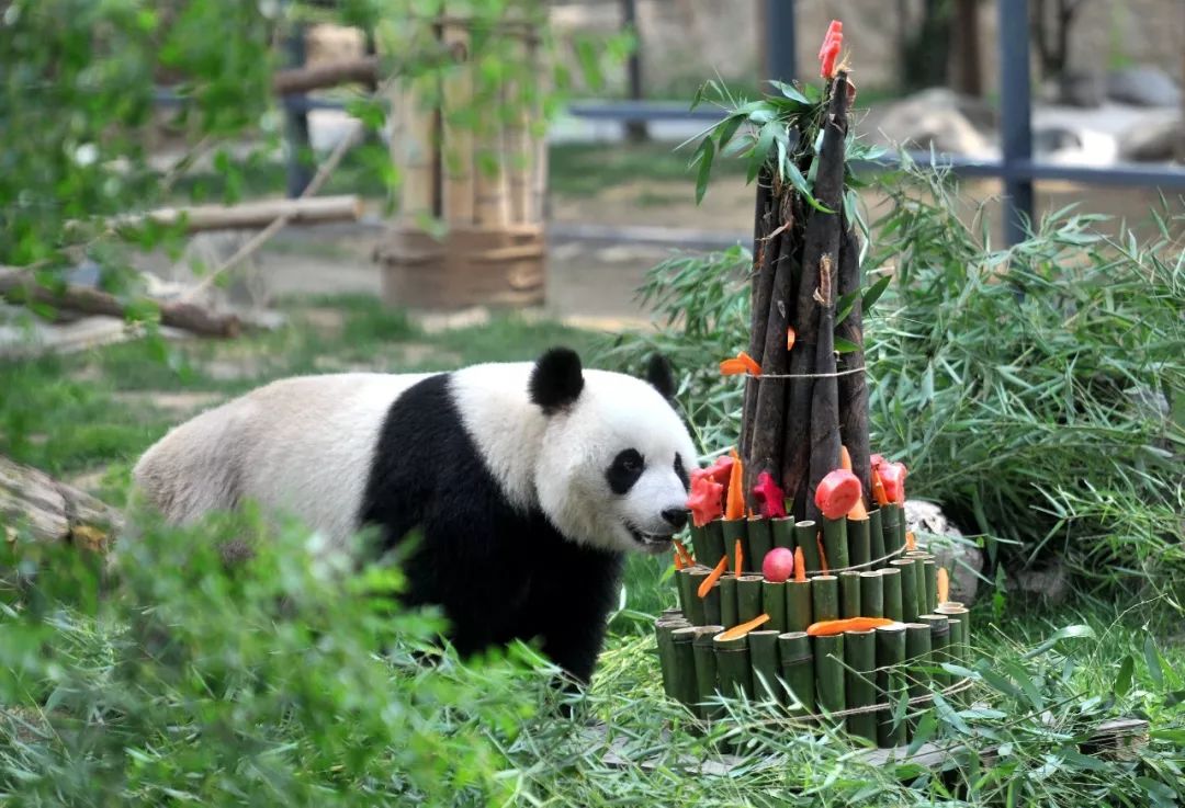 济南交警通报逼跪踹人事件:态度恶劣 行为粗