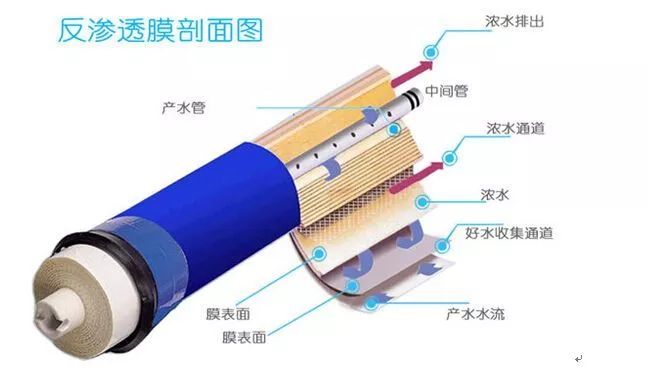 喝了那么多年自来水,为什么大家又想买直饮水机?_®倍怡康科技|直饮水机|学校饮水机|节能饮水机|直饮水设备工程|公共饮水设备服务商