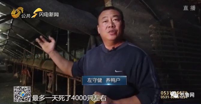 养猪场称减肥药排行榜配合拆除难再建 畜牧局: