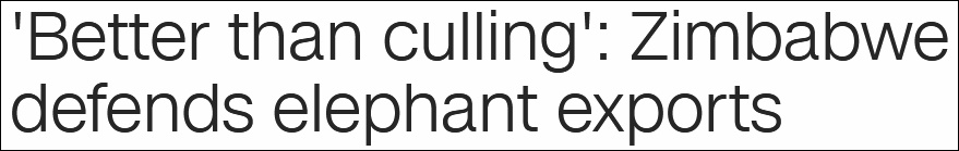 CNN报道截图