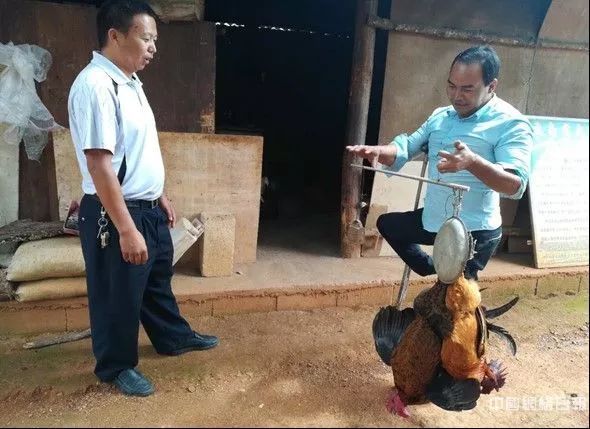 宝马线上官网登陆 - 54岁郭富城花百万追三胎,32岁方媛打听“生子秘方”,网友:会玩