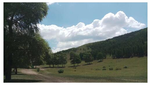 那些年，陪伴在我身边的前任们