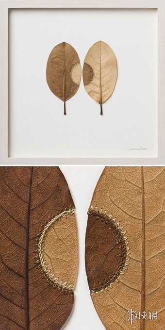 ¹Susanna BauerҶƾƷ Ѳμչ