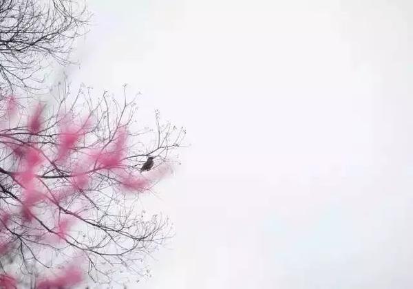 美到令人窒息！80后美女摄影师逃离城市找寻最美江湖