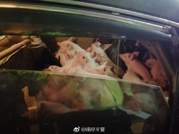 春天到了万物复苏的季节 每日轻松一刻3月24日周末版