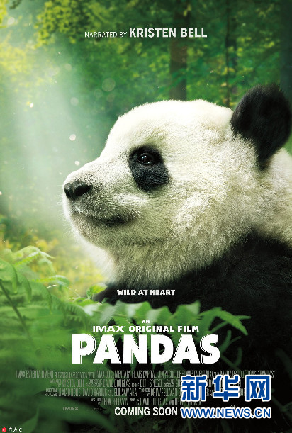 一起来吸熊猫 首部IMAX大熊猫纪录片登陆北美