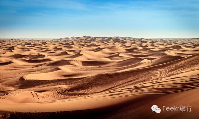 阿联酋免签|2019年1月25日渣打迪拜马拉松|