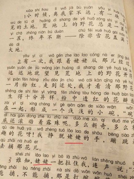 “外婆”原来是方言?南方网友已经炸了……-长沙SEO霜天
