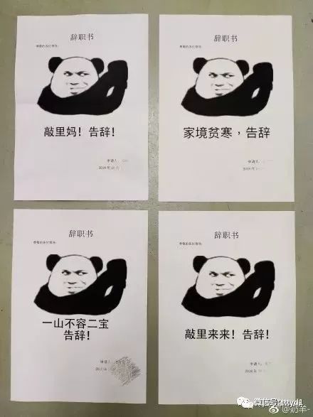 网友沙雕苹果视频表情包大全动画下载视频辞职信刷屏,哈哈哈你们太秀了吧_搜狐图片