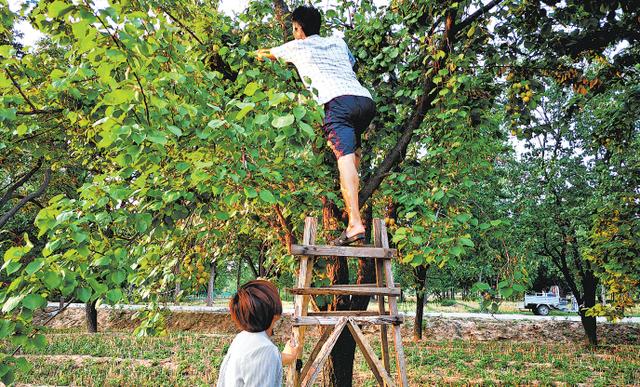 60������������ʡɳ�ĵؼ���ǧ��Ķ ɳ�����ϵ�������