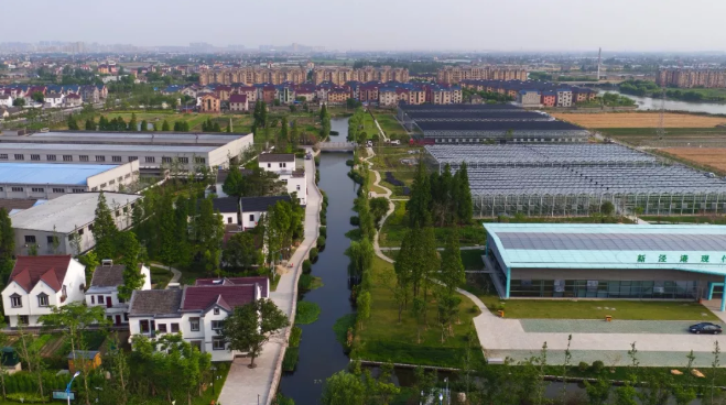 浙江嘉善县干窑镇新泾港