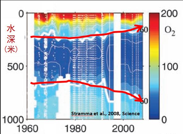 最大的一次生物大灭绝,种级灭绝率可能达到了95% 最大的一次生物大灭绝,种级灭绝率可能达到了95%