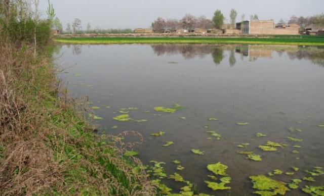 西安古村揭秘:西安市长安区灵沼街办里兆渠村