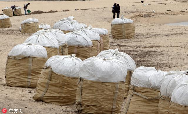 台风苏力过境韩国 东海岸垃圾堆积高达90吨