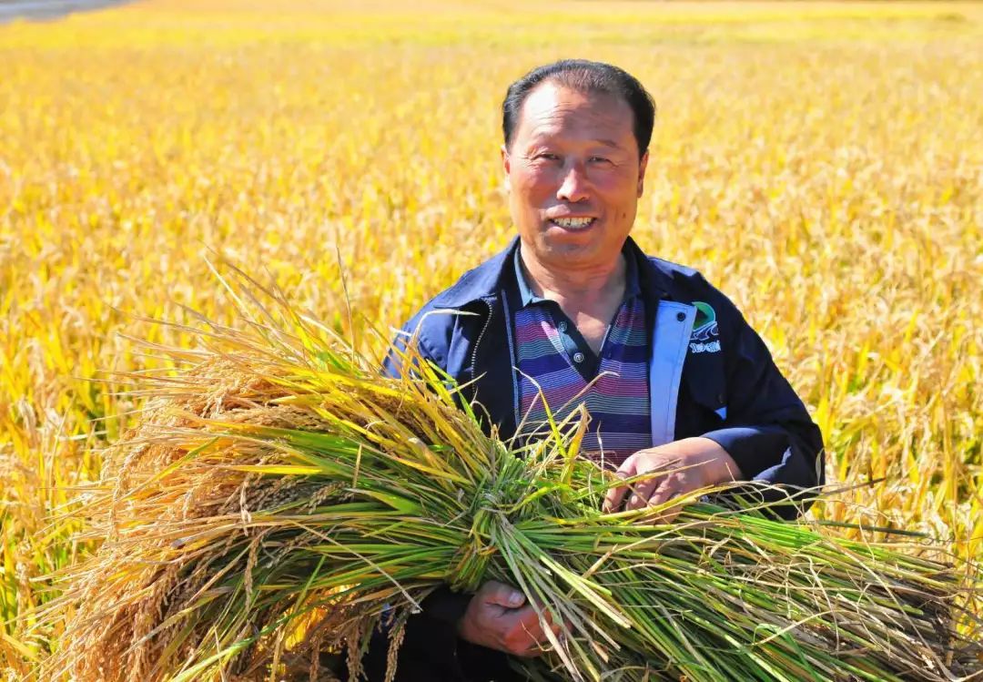 建三江有多少人口_黑龙江省建三江城区有多少人口(2)