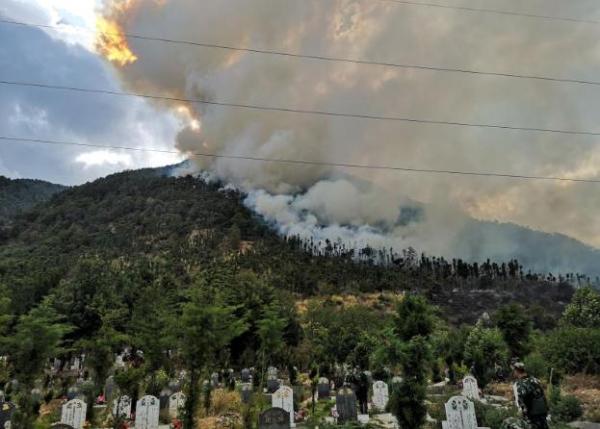 最强神医混都市人物角色截图1