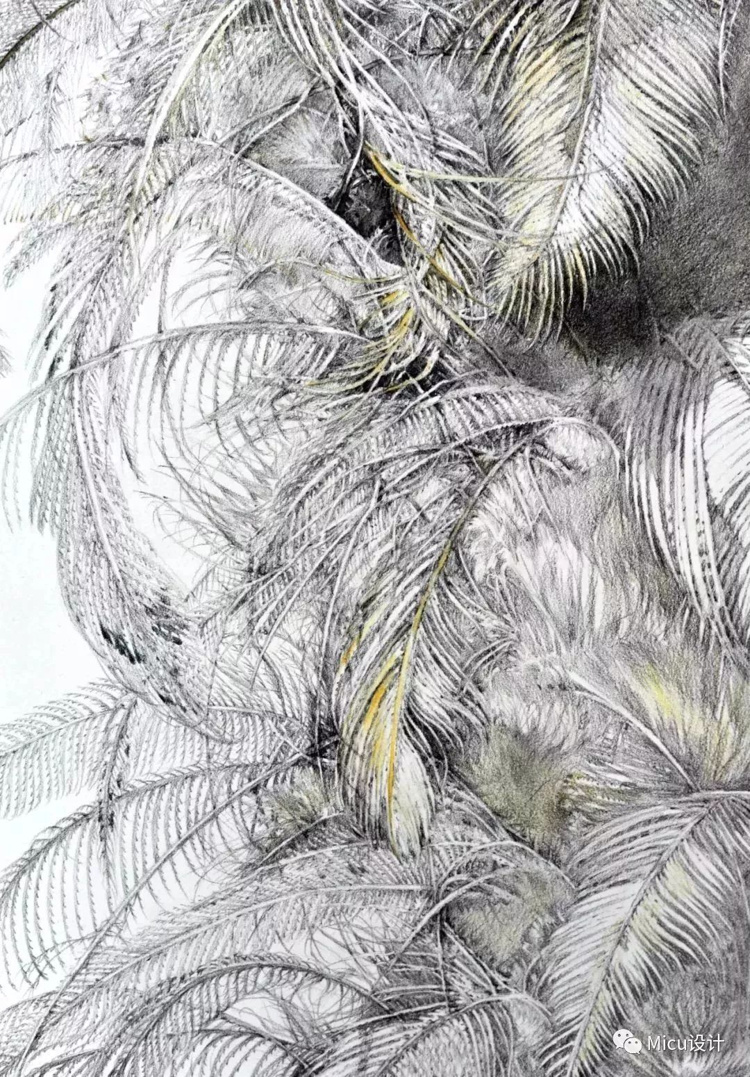 品牌丨2018年央美精微素描出炉又要逆天