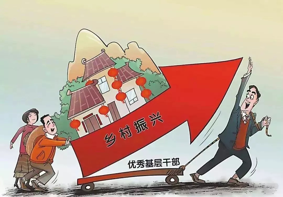 首次建立职业农民职称制度!山东20条新政助力