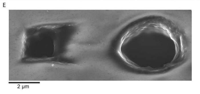 人口内爆_人口普查