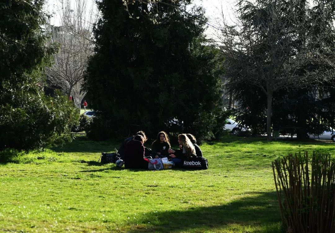  几名学生坐在马德里康普顿斯大学校园的草坪上。（新华社记者郭求达摄）
