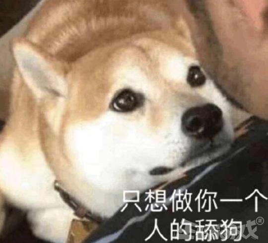 Ϸ߻Ū򹷵Ľɫʿȹֹ˵ȥˮ