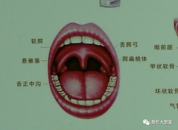儿童扁桃体经常发炎要切除吗听听专家怎么说