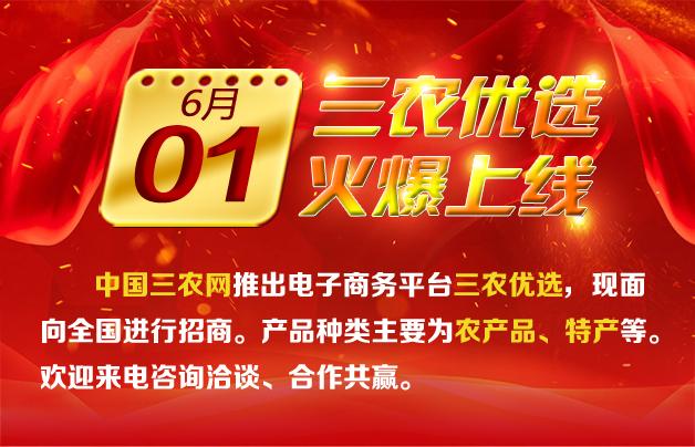 中国三农网助农服务电商平台启动 有货你就来