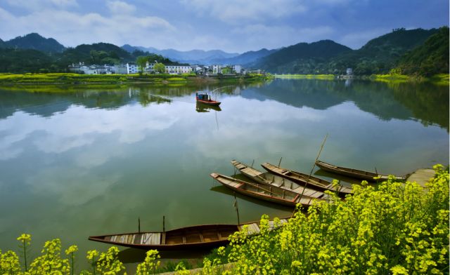 正是安徽赏花季,送你一份拍摄锦囊投身油菜花海